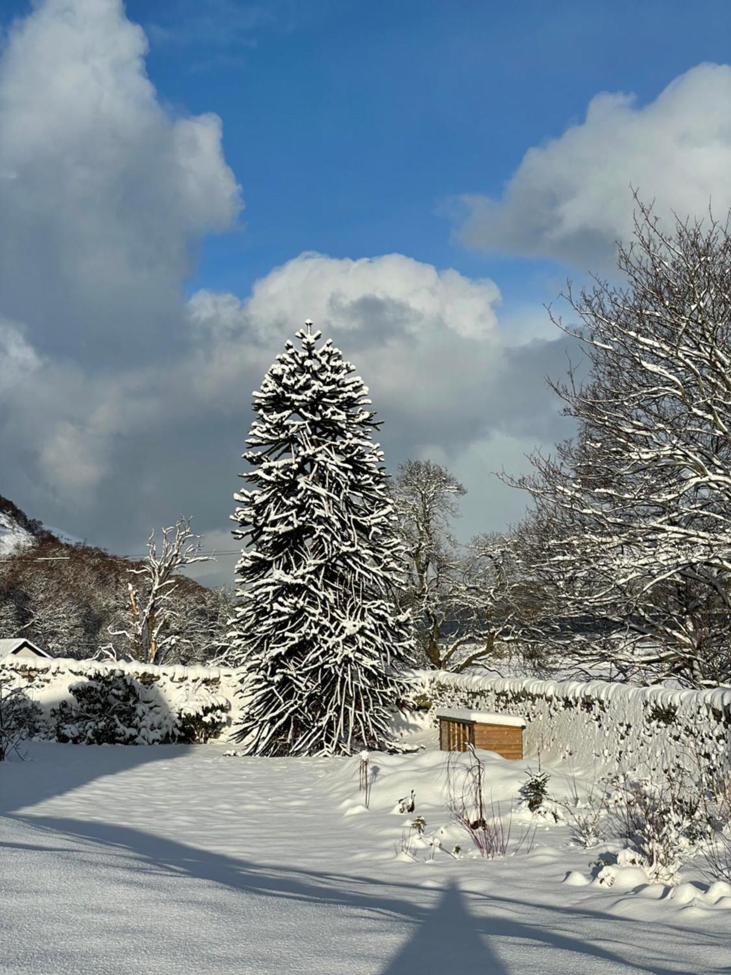 Clachan Garden B&B Garve Exterior photo